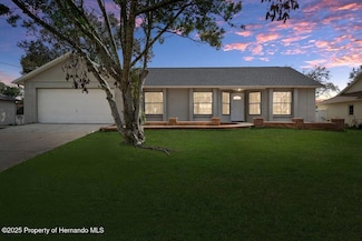 11080 Marquette St, Spring Hill, FL 34609