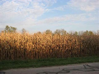 Tract 2 County Road 544e, Selma, IN 47383