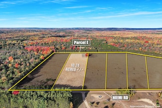 0 V L 10 24 Acres Niemi Rd Unit PARCEL E, Kaleva, MI 49645