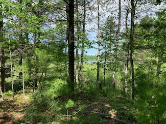 Lot 1 Somo Ridge Dr, Tomahawk, WI 54487