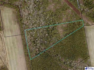 TBD Jenerette Pl, Hemingway, SC 29554