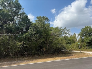 124 Hunting Club Ave, Clewiston, FL 33440