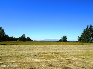 15068 Brown Swiss Rd, Point MacKenzie, AK 99654