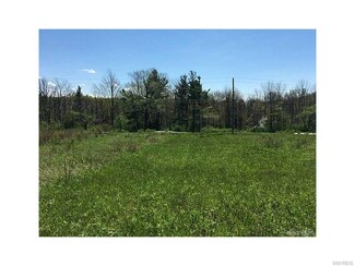 V/L Omphalius Rd, Boston, NY 14025
