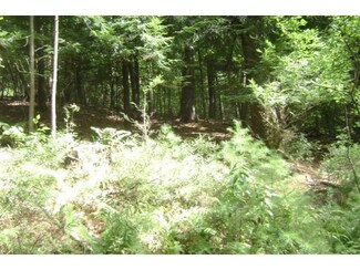 00 Beaver Pond Rd, Lyman, NH 03585