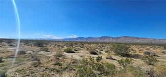 0 Frontage Rd Unit SR25146342, Mojave, CA 93501