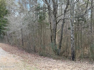129 Gadd Rd, Potts Camp, MS 38659