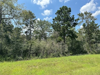 377 Exploration Rd, New Waverly, TX 77358