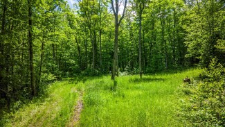 TBD Deervine Trail NE, Tenstrike, MN 56683