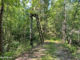 0 Davidson Rd, Walnut Grove, MS 39189