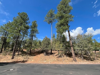 Lot 19 Strawberry Hollow, Pine, AZ 85544