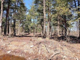 TBD Black Creek (West) Rd, Skanee, MI 49962