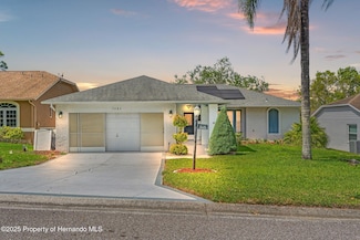 7483 Blue Skies Dr, Spring Hill, FL 34606