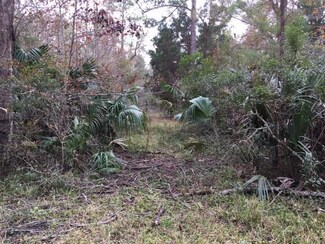 6950 SE 180th Place, Inglis, FL 34449