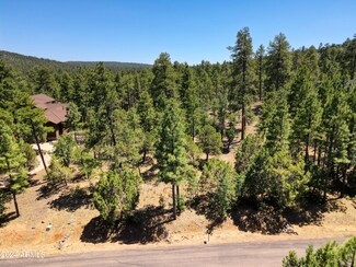 3061 Sage Ln Unit 199, Show Low, AZ 85901