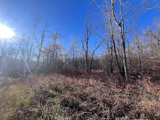 34 Misty Ct, Mancelona, MI 49659