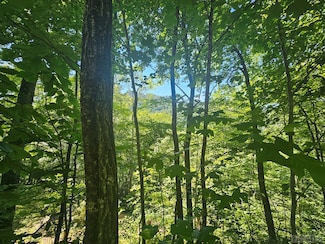 118 Granada Dr, Tuckasegee, NC 28783