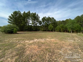15000 Block Alabama 21, Atmore, AL 36502