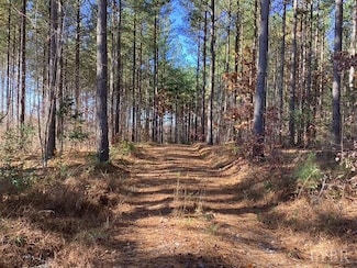 Lot 8 Lewis Ford Rd, Brookneal, VA 24528