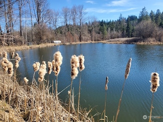0 Lot 44 3 Lakes Rd, Cle Elum, WA 98922