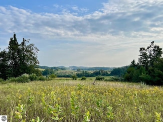 00 Skinner Rd, Ellsworth, MI 49729