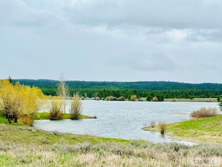 3785 Century Dr, Island Park, ID 83429