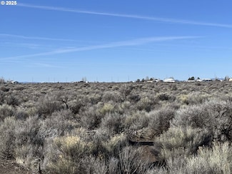 0 W Thorn Ln Unit TL100 148887900, Christmasvalley, OR 97641