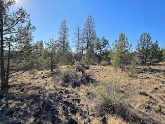 0 Blue Heron Dr Unit 220209295, Bonanza, OR 97623