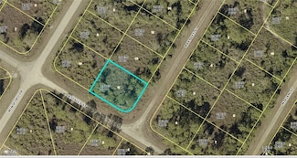 1917 Mary Lee St, Lehigh Acres, FL 33972