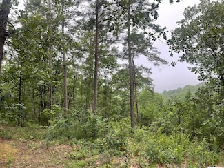 425 Marble Ct, Ranger, GA 30734