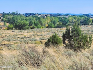 1415 W Tumbleweed Trail, Snowflake, AZ 85937