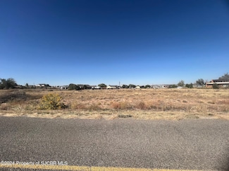 LOT 300 Road 3775, Farmington, NM 87401