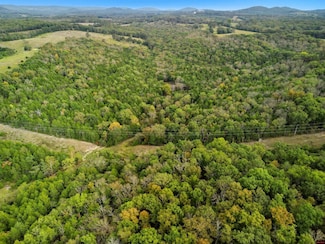 090516000000009 Tall Timbers Trail, Gainesville, MO 65655