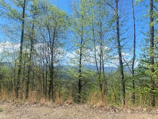 Lot 38 Fulcher Vista Dr, Franklin, NC 28734
