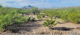 104 Whitworth Ct, Elephant Butte, NM 87901