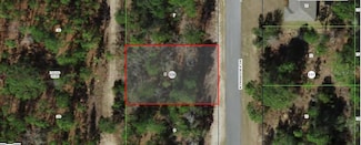 9120 N Paradisea Dr, Citrus Springs, FL 34433
