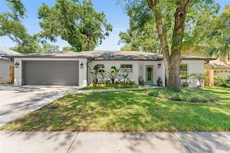 1313 W Carissa Ct, Tampa, FL 33604