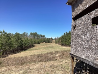 0 Polk County Road 639, Vandervoort, AR 71972