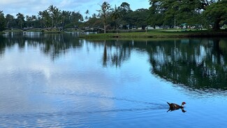 400 Hualani St Unit 3213, Hilo, HI 96720