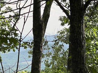 TBD Morning Side Trail, Fancy Gap, VA 24328