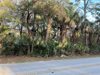 8523 N Basswood Ave, Crystal River, FL 34428