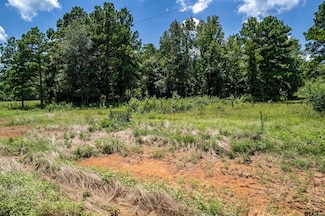 Lot 71 Star Mountain, Winona, TX 75792