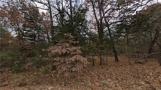 Lot 14 E Fawn St, Diamond City, AR 72644