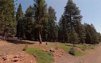 0 Cub Rd Unit AR25256151, Alturas, CA 96101