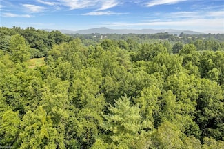 TBD Friendly Grove Church Rd, Millers Creek, NC 28651