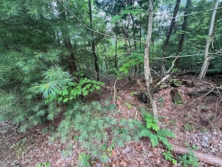 793 Woodbine Ln, Ranger, GA 30734