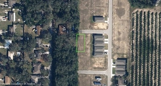 1000 Alicante Ct, Sebring, FL 33870