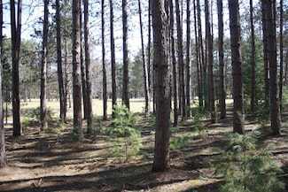 On Pine Grove Cir, Minocqua, WI 54548
