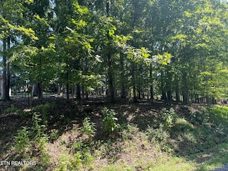 227 Chahyga Cir, Loudon, TN 37774