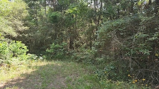 Lot 4 Cedar Tree Ct, Plantersville, TX 77363